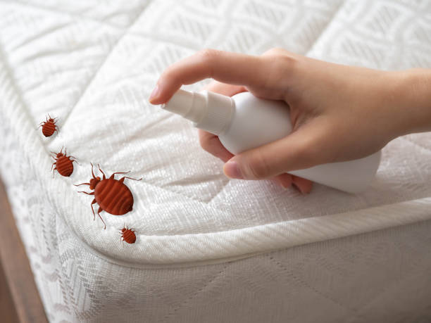 Emergency Pest Control in Muscle Shoals, AL